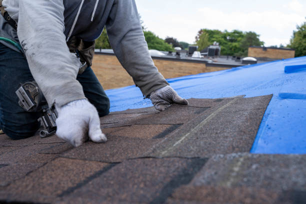 Best Storm Damage Roof Repair  in Chester, PA